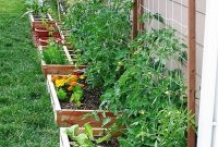 62 Affordable Backyard Vegetable Garden Designs Ideas intended for dimensions 900 X 1199