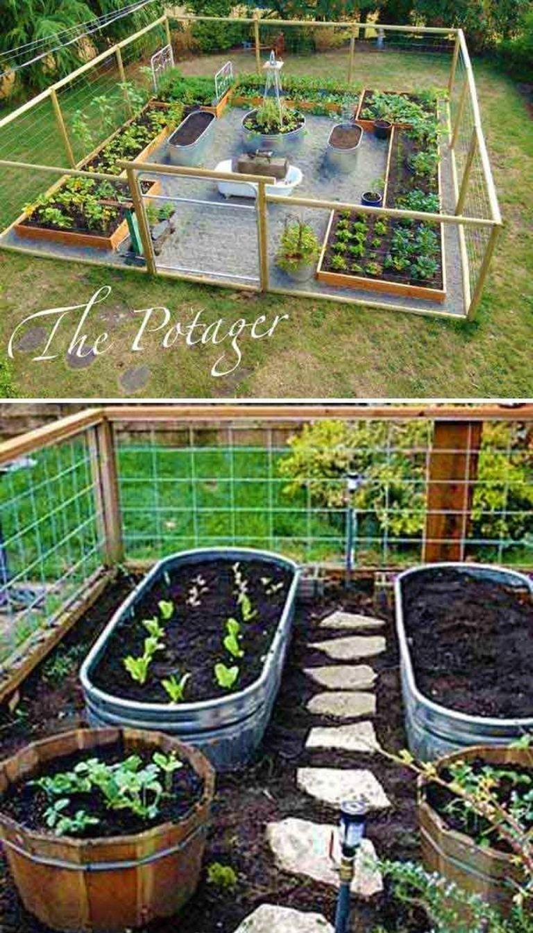 62 Affordable Backyard Vegetable Garden Designs Ideas within proportions 768 X 1343