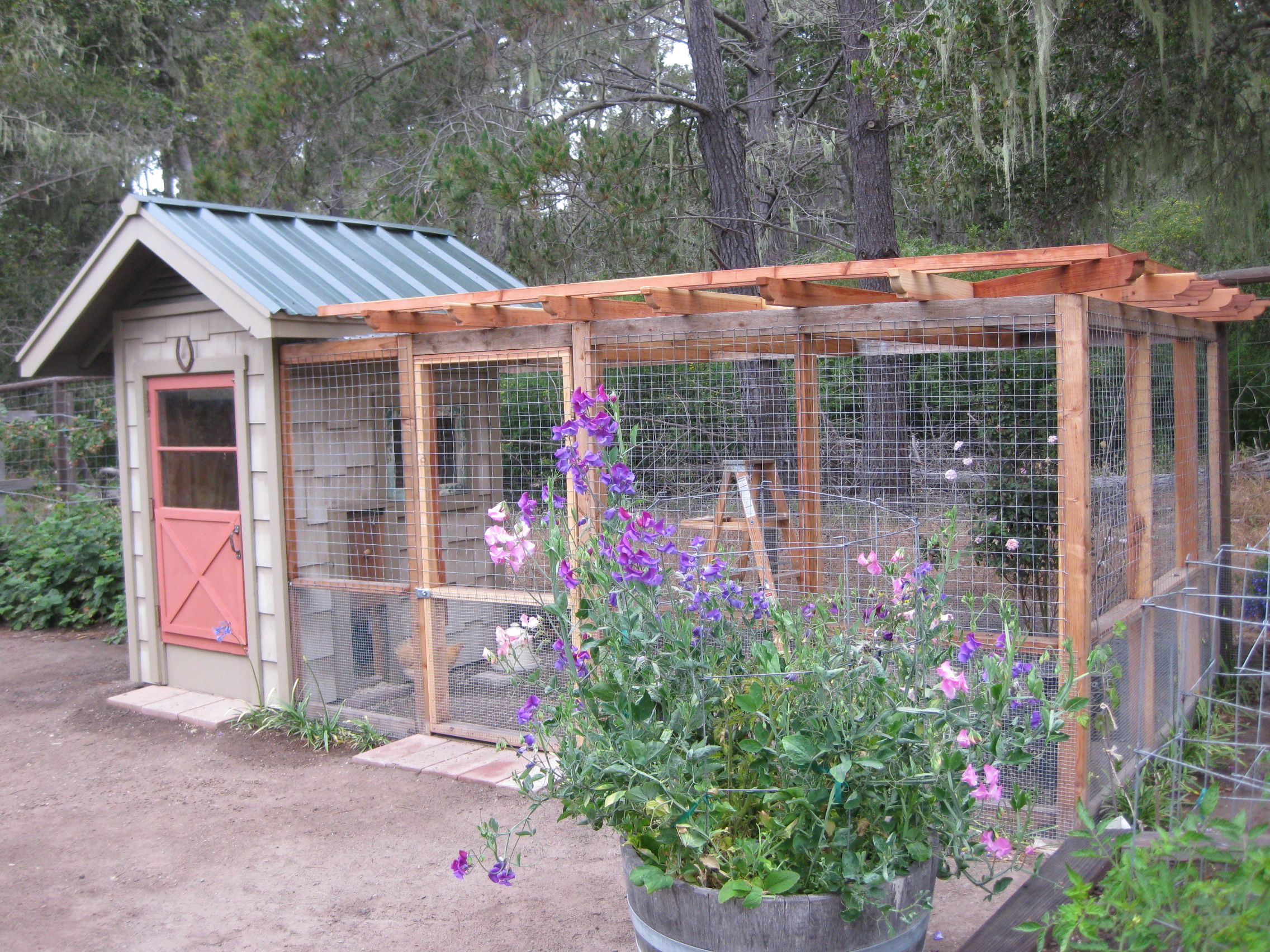 A Chicken Coop That Enhances The Garden If I Had Backyard with regard to sizing 2272 X 1704