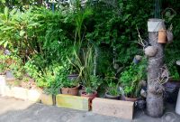 Backyard Garden Or Home Garden Location In Nonthaburi Thailand in sizing 1300 X 861