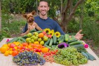 Backyard Gardening Harvest The Best Food In The World Permaculture Food Forest in sizing 1280 X 720