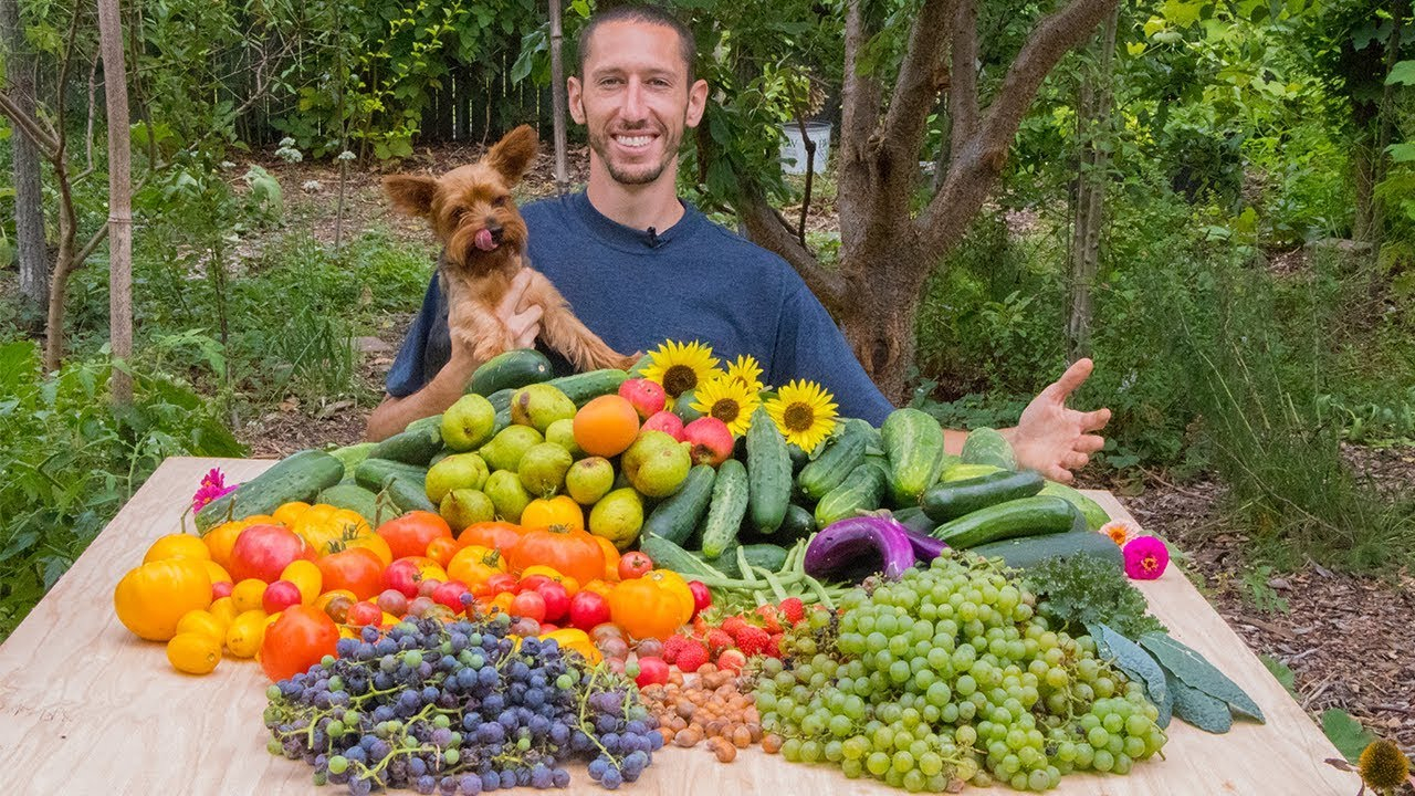 Backyard Gardening Harvest The Best Food In The World Permaculture Food Forest in sizing 1280 X 720