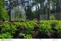 Backyard Greenhouse And Vegetable Garden Stock Photo Image pertaining to dimensions 1300 X 957