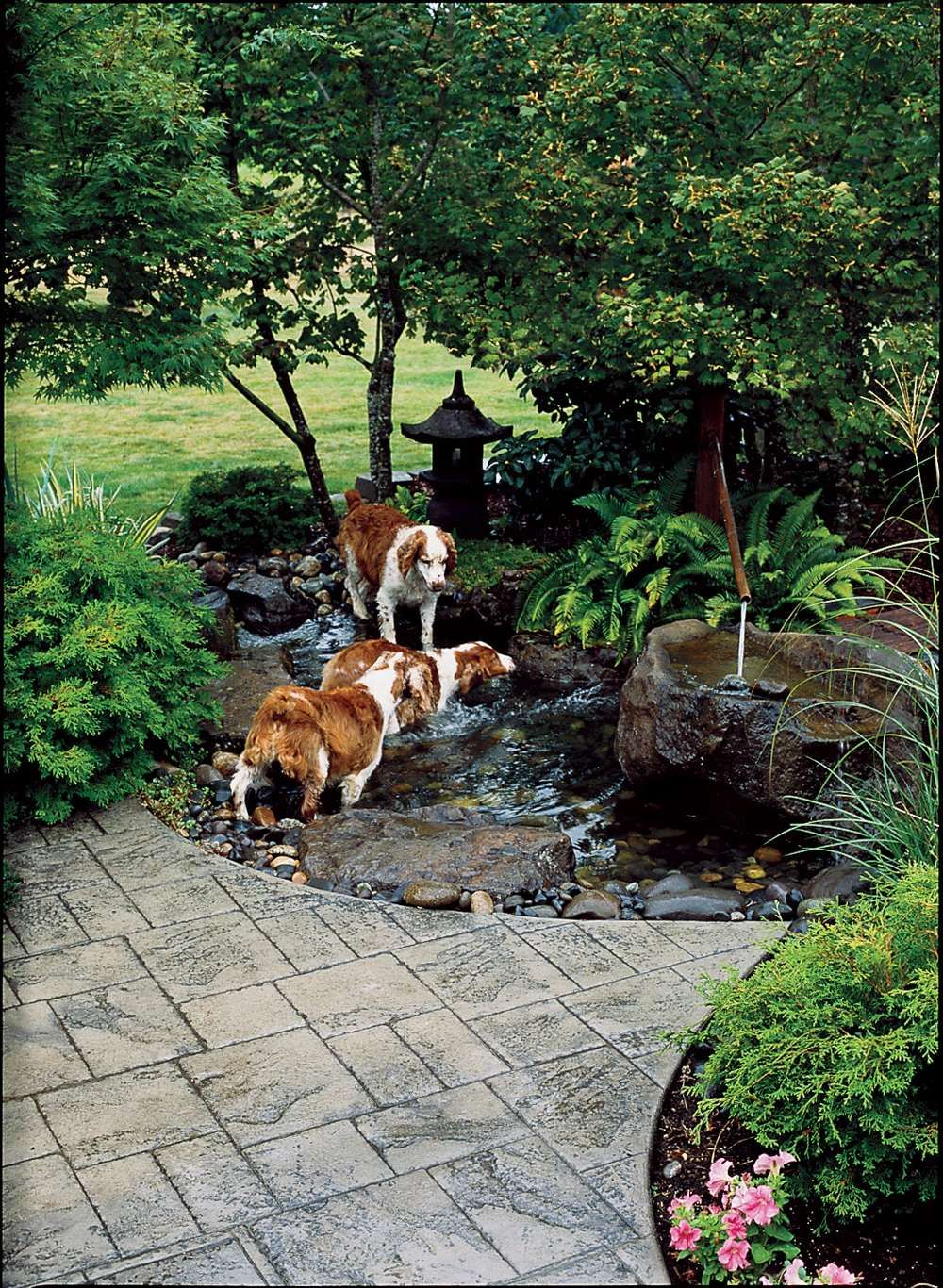 Backyard Ideas For Dogs Backyards Dog Friendly Garden inside sizing 1000 X 1366