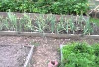 Backyard Vegetable Garden And Farm inside measurements 1280 X 720