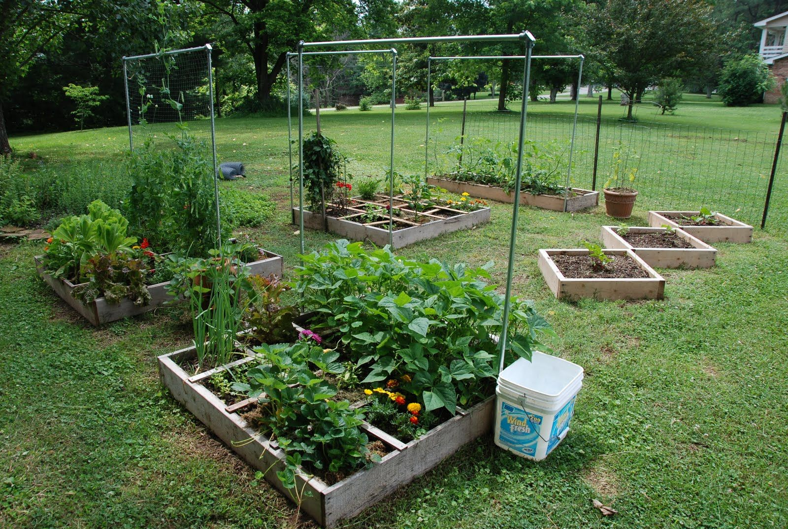 Backyard Vegetable Garden Design Organic Gardening inside size 1600 X 1074