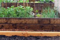 Beautiful Raised Vegetable Garden Beds In The Front Yard I with measurements 899 X 1599