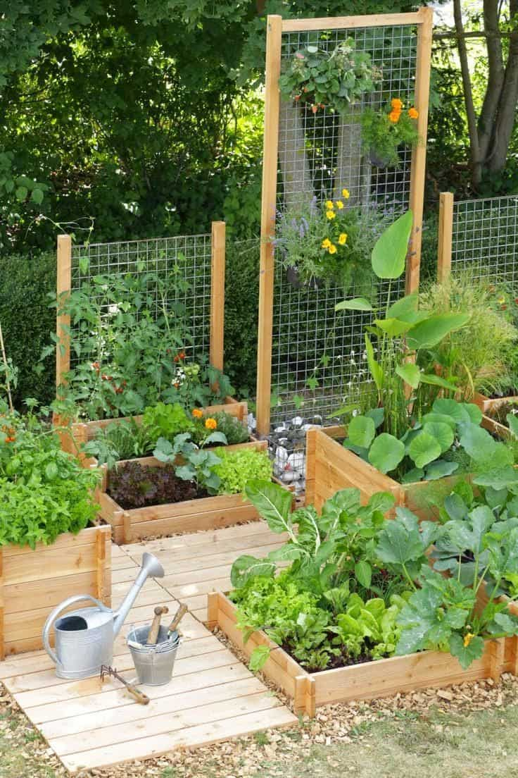 Best 20 Vegetable Garden Design Ideas For Green Living regarding sizing 736 X 1104