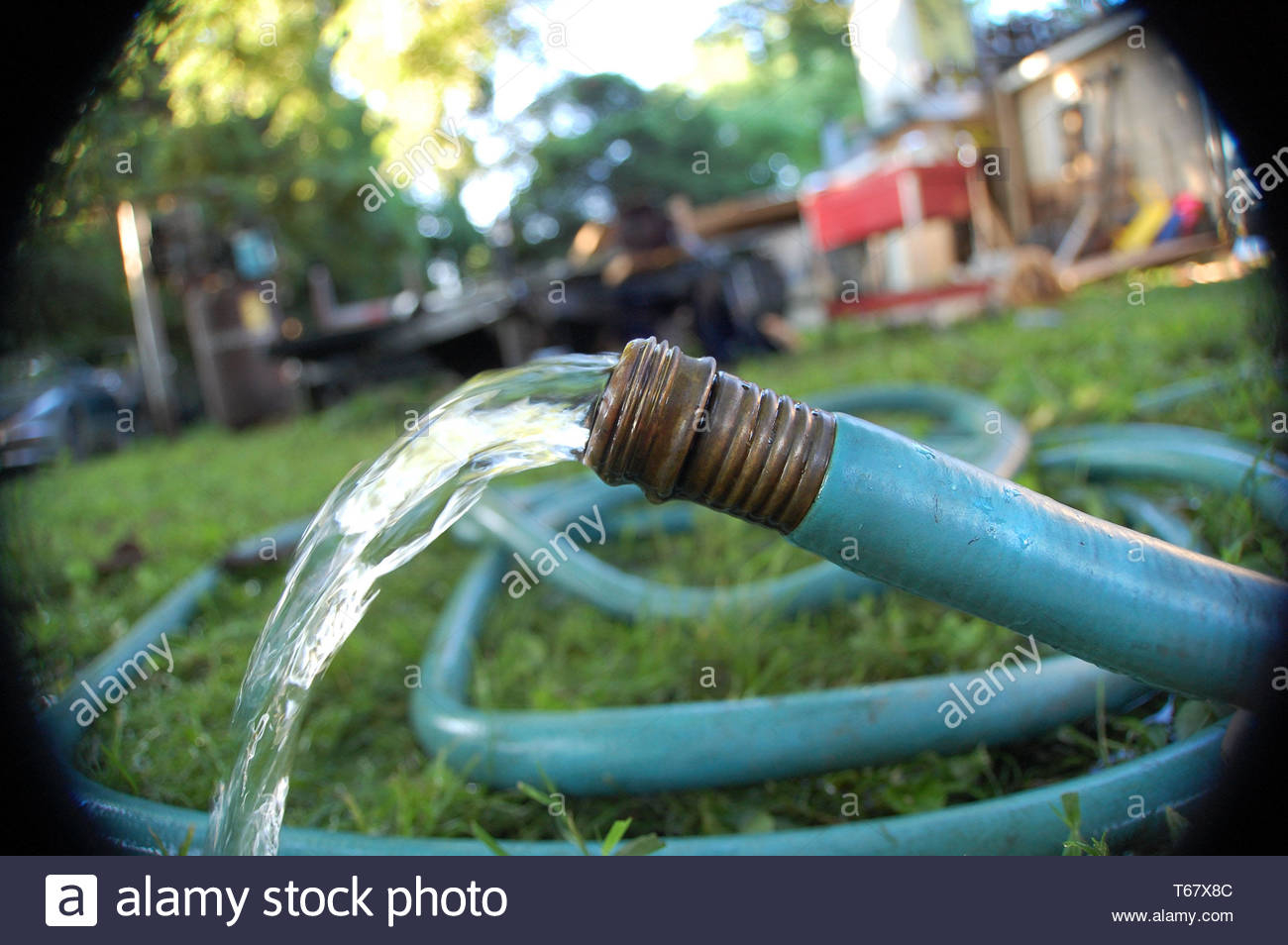 Close Up Shot Of A Garden Hose In The Backyard Stock Photo pertaining to measurements 1300 X 954