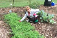 Cover Crops For Gardeners Tallahassee Community Blogs intended for size 3024 X 4032