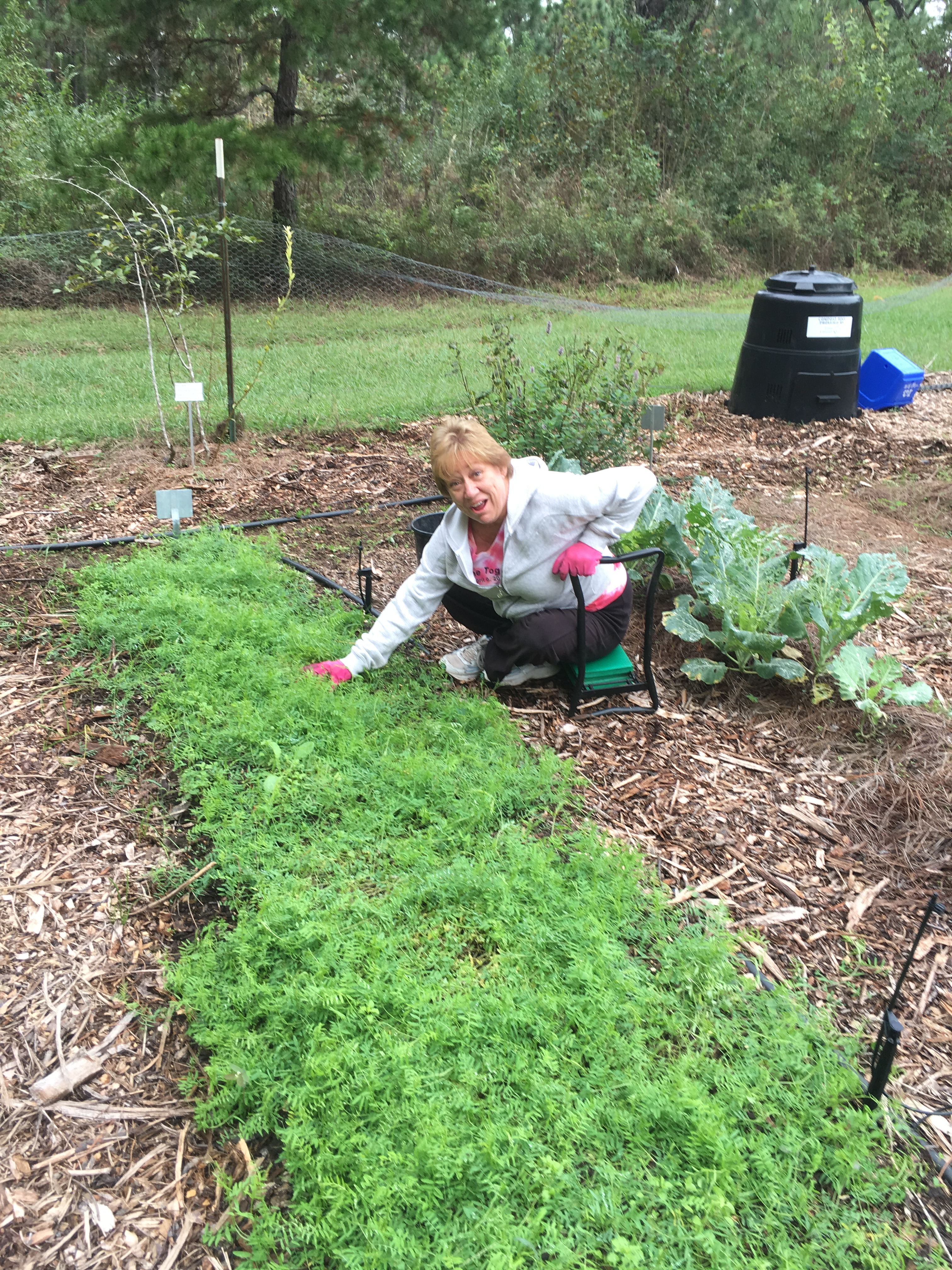 Cover Crops For Gardeners Tallahassee Community Blogs intended for size 3024 X 4032