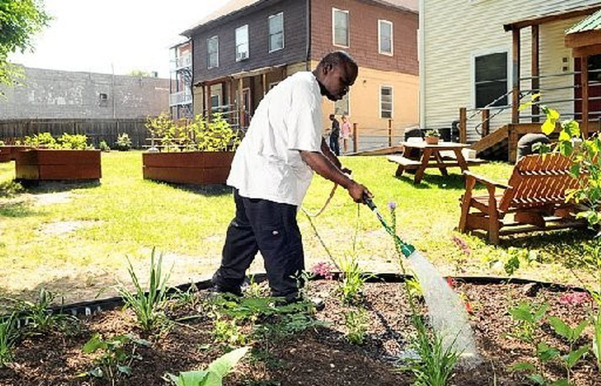 Cultivating Flowers Vegetables And Spirits Of Mentally Ill intended for measurements 1200 X 771