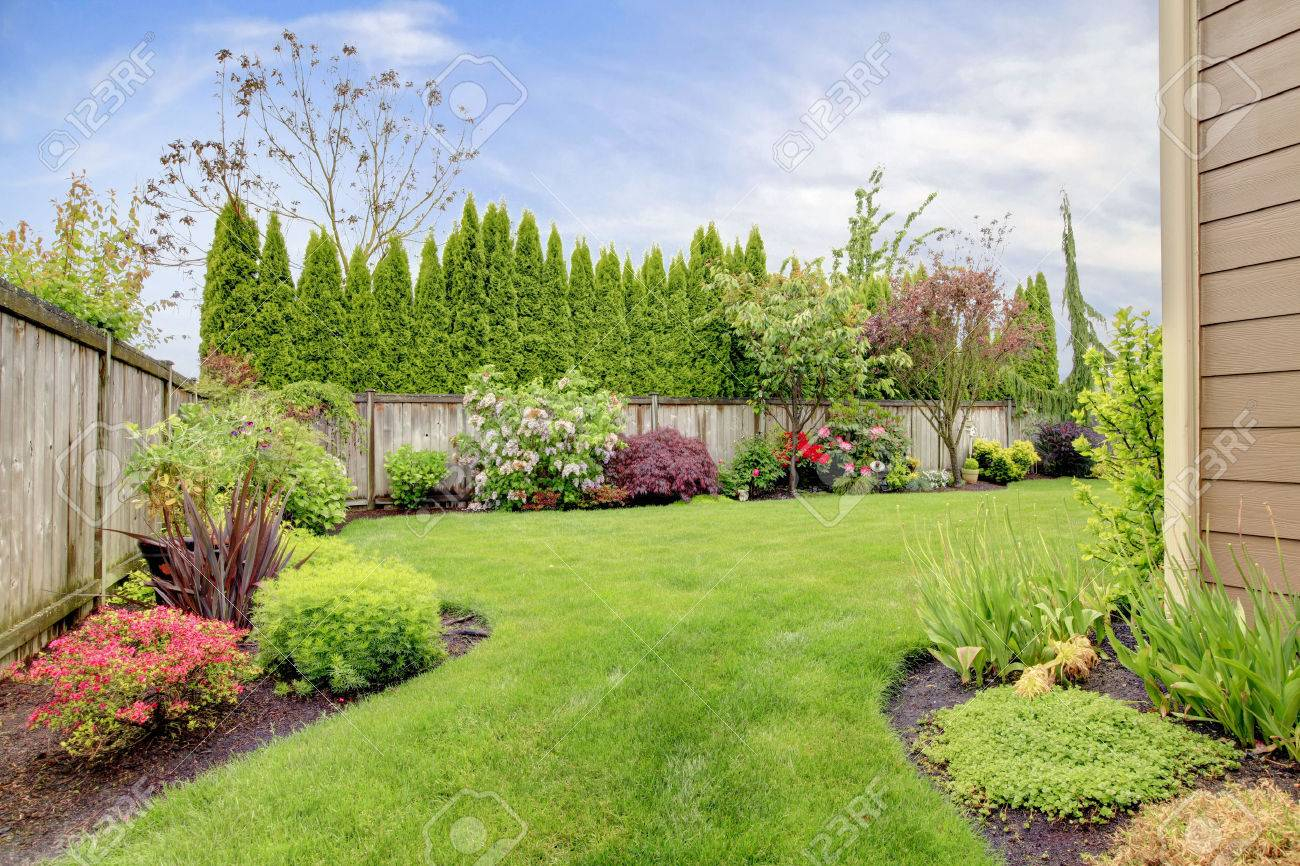 Fenced Backyard View Of Lawn And Blooming Flower Beds with regard to measurements 1300 X 866