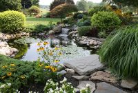 Great Plants For Small Backyard Ponds pertaining to measurements 4368 X 2912