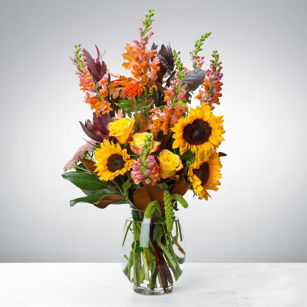 Hello Fall In Fayetteville Ny Backyard Garden Florist pertaining to sizing 1000 X 1000