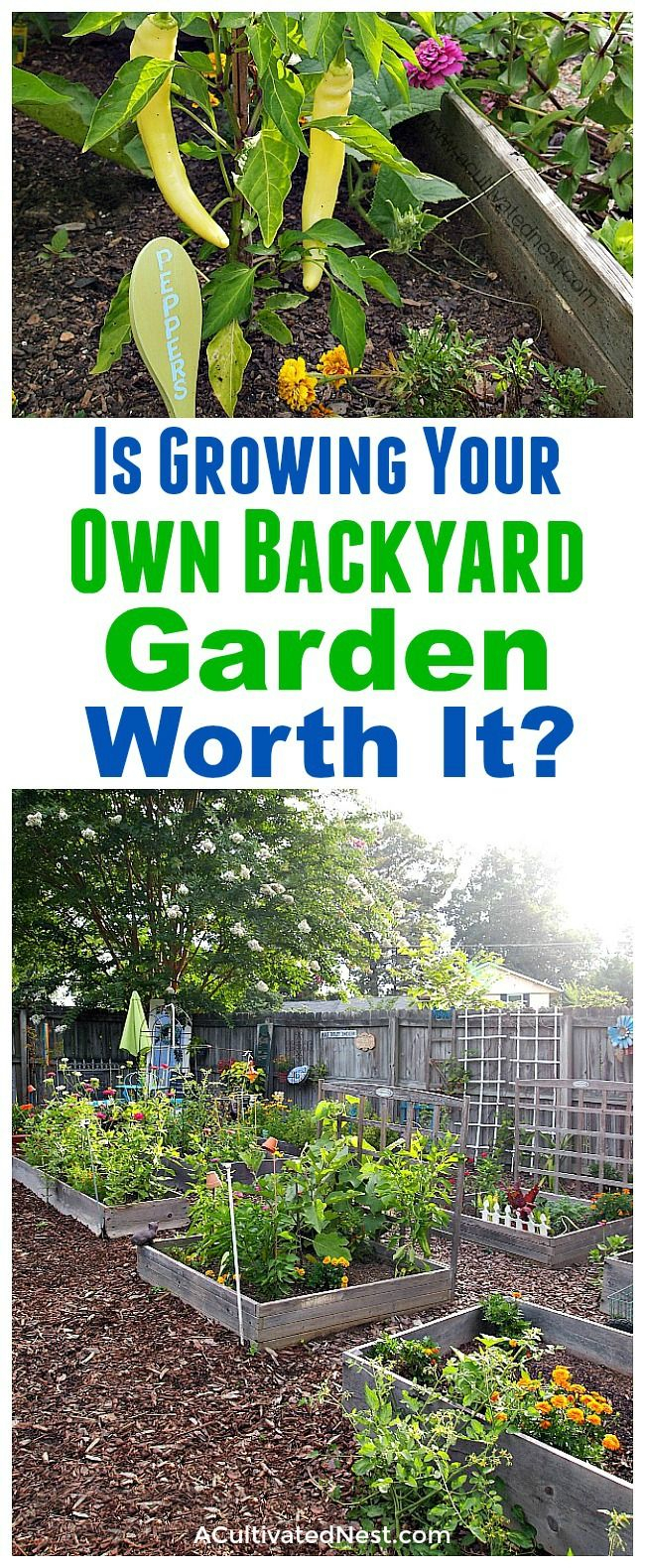 Is Growing Your Own Backyard Garden Worth It Gardening with dimensions 650 X 1580