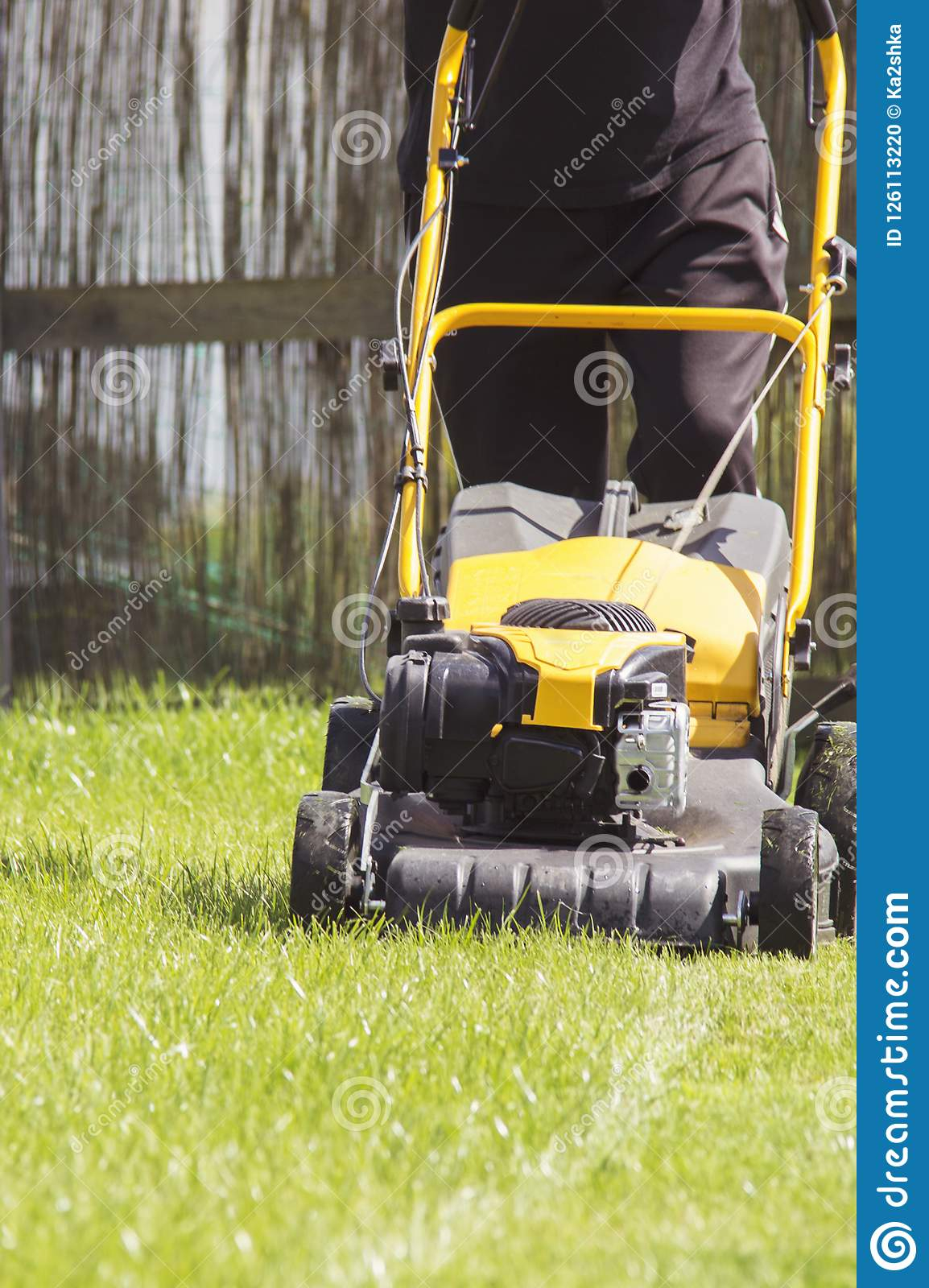 Lawn Mower Cutting Green Grass In Backyard Garden Service regarding sizing 1154 X 1600