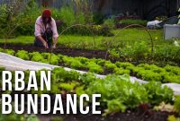 Organic Urban Farming On A 12 Acre Property Urban Abundance with regard to proportions 1280 X 720