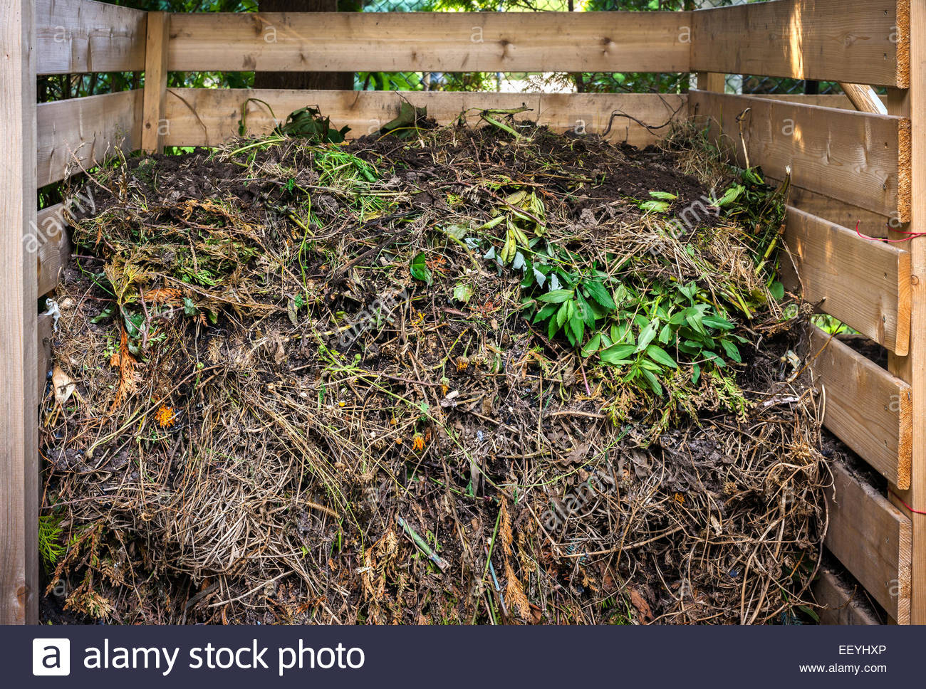 Organic Yard Waste In Wooden Compost Box For Backyard Garden with regard to size 1300 X 968