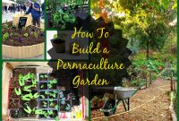 Permaculture Design Principles 12 Steps To A More pertaining to size 2849 X 2000