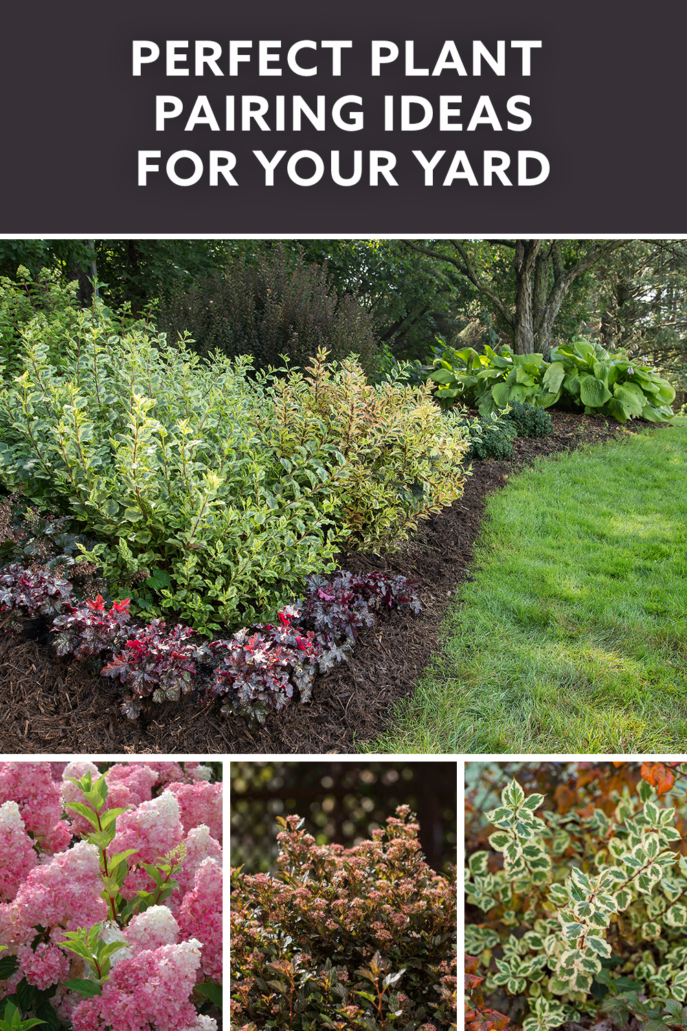 Plant And Flower Combinations That Are Perfect For Your Yard inside size 1000 X 1500