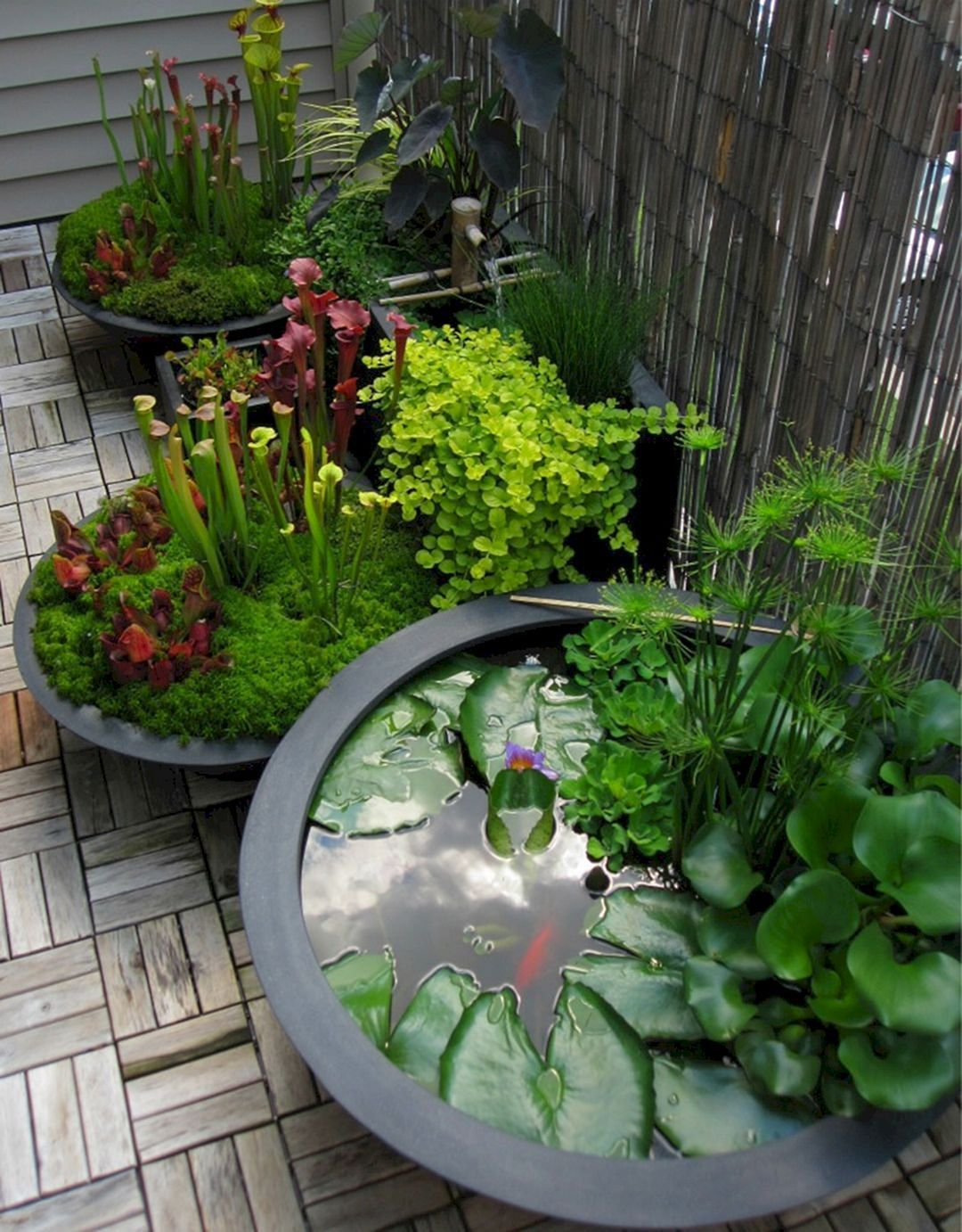 Prodigious Container Gardening Ideas For Small Spaces with regard to proportions 1080 X 1382