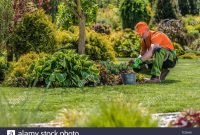 Professional Garden Worker Caucasian Gardener And The in measurements 1300 X 956