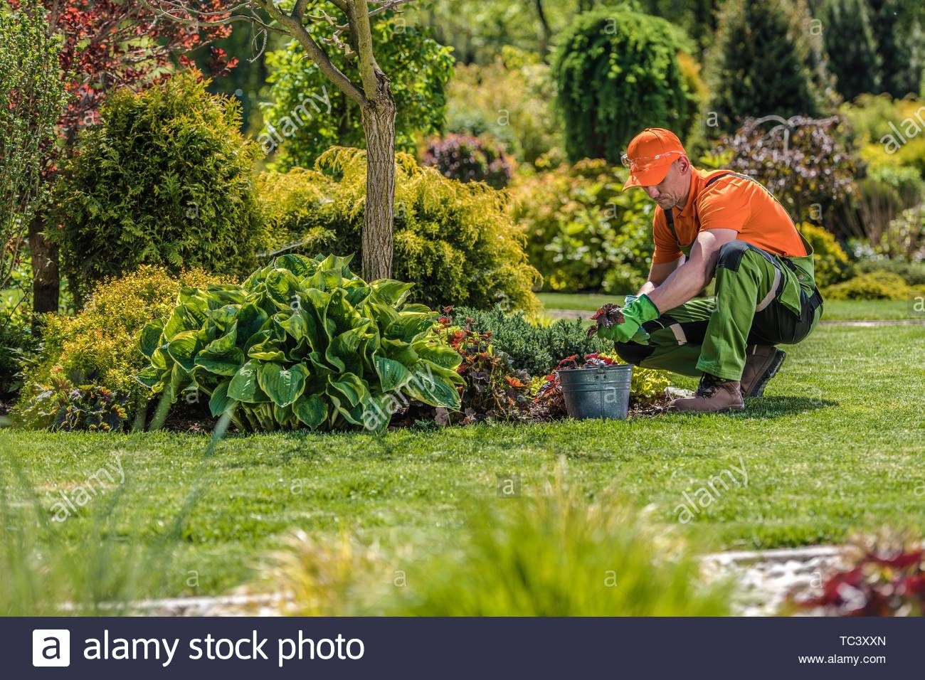 Professional Garden Worker Caucasian Gardener And The in measurements 1300 X 956