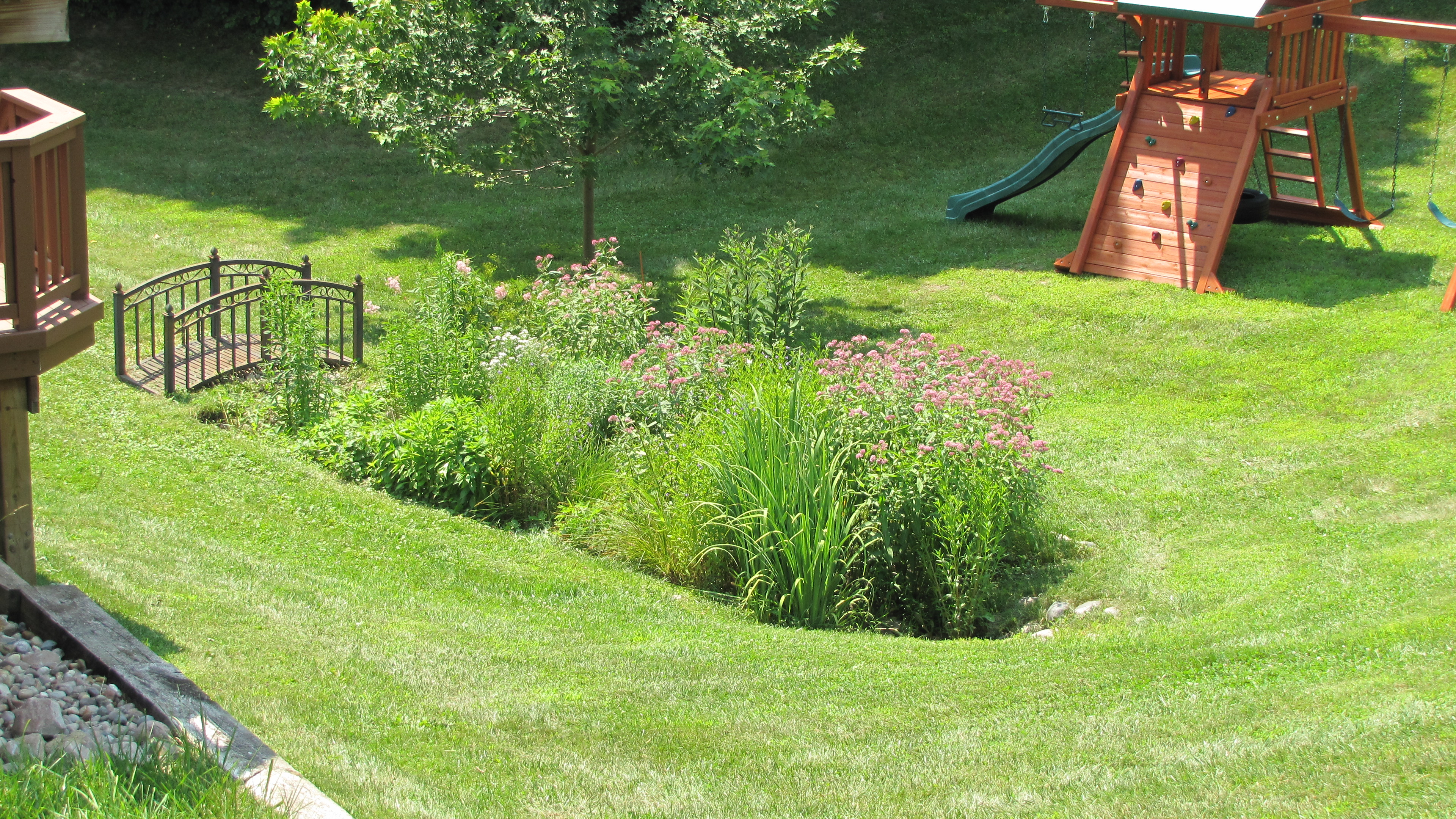 Rain Garden Design Construction In Ann Arbor Mi inside proportions 3840 X 2160