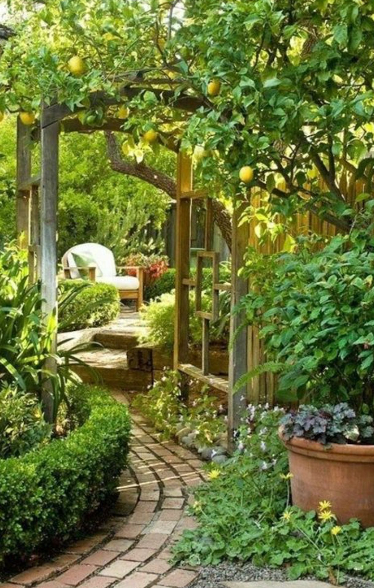 Secret Garden Room On My Patio Garden Garden Design intended for dimensions 1219 X 1915