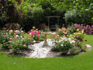 Simple Design Ideas Rose Garden Plans My Garden Rose throughout proportions 4000 X 3000