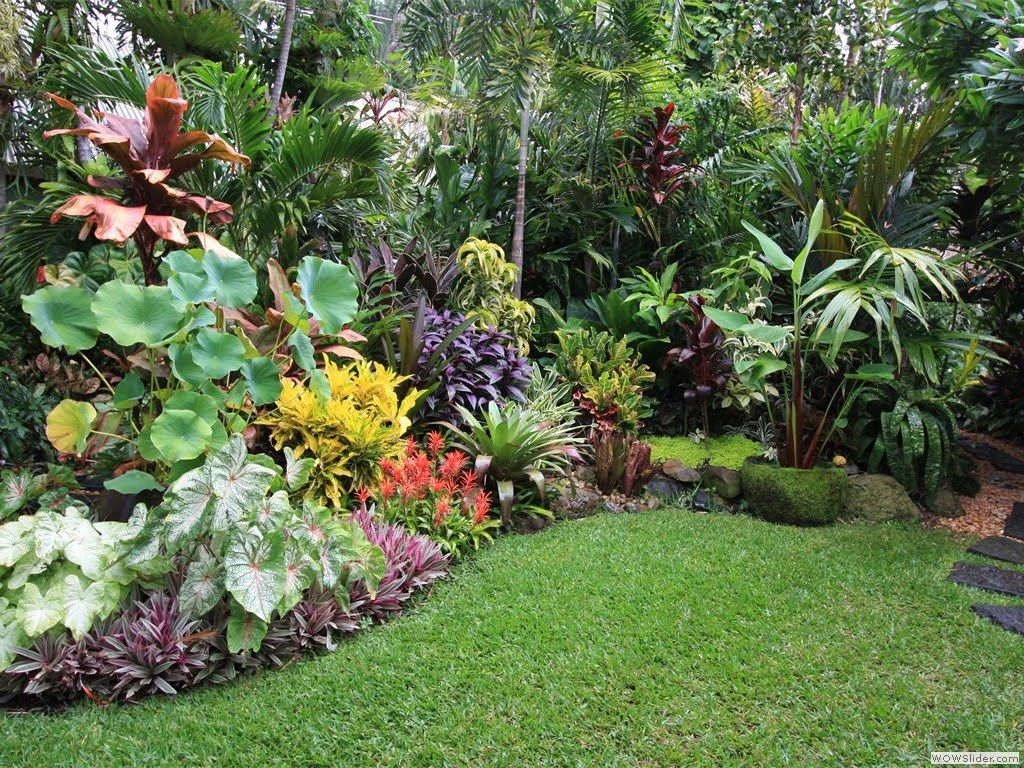 Simple Tropical Garden Design For Small Spaces Garden throughout proportions 1024 X 768