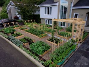 Small Garden Ideas And Designs Vegetable Garden Ideas For with regard to measurements 1024 X 768