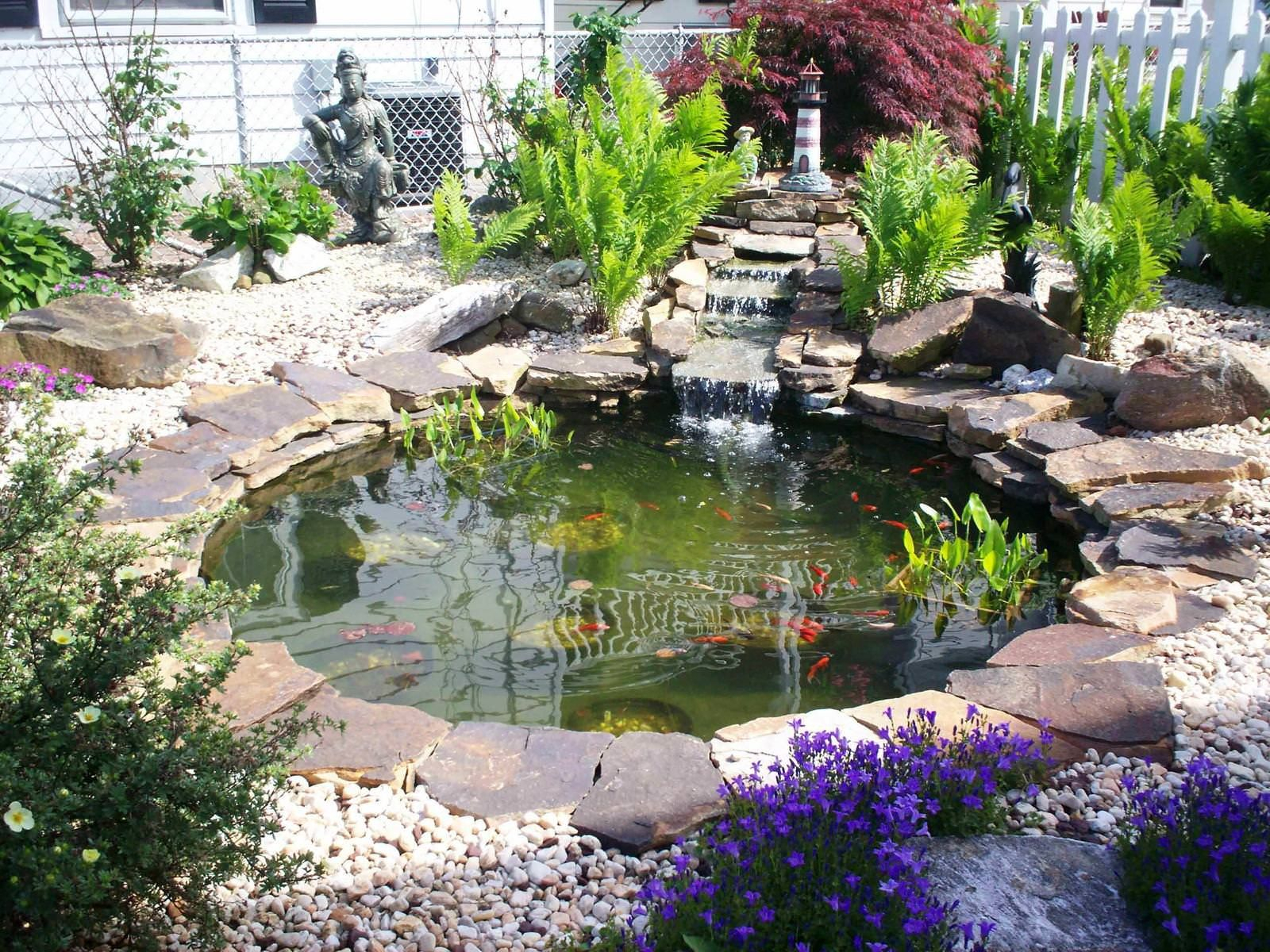 Small Garden Or Backyard Aquarium Ideas Practic Ideas regarding size 1600 X 1200
