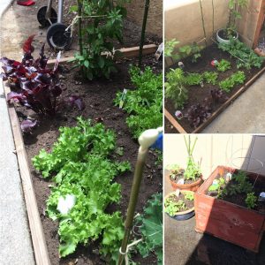 Small Space Gardening Advice Please We Have A Small Yard pertaining to dimensions 2048 X 2048