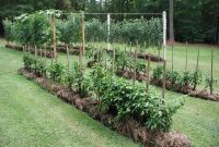 Straw Bale Gardens Root Simple throughout sizing 1024 X 768