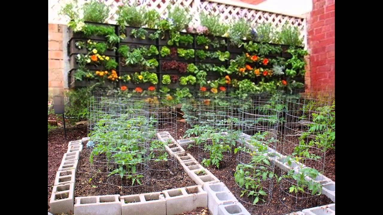 Stunning Small Backyard Vegetable Garden within size 1280 X 720