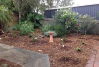 Tea Tree Mulch Benefits Tea Tree Mulch Uses In The Garden intended for measurements 1600 X 1200