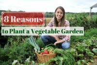 The Benefits Of Growing Your Own Food Sparkpeople in measurements 1200 X 782