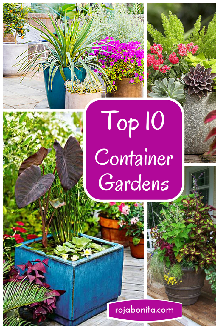 Top 10 Container Gardens For Your Patio Rojabonita with regard to proportions 735 X 1102