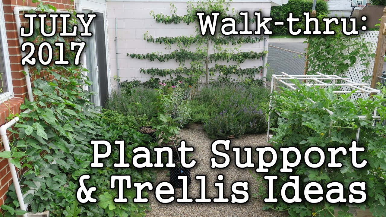 Trellis Plant Support Ideas 2017 July Urban Garden Edible Landscape Albopepper Walk Thru within proportions 1280 X 720