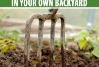 Understanding The Soil In Your Own Backyard Gardeners Path with sizing 800 X 1200