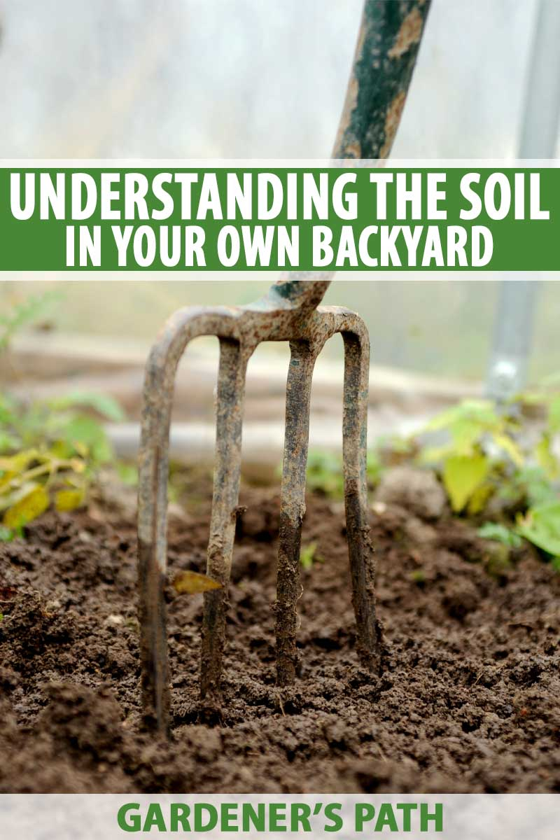 Understanding The Soil In Your Own Backyard Gardeners Path with sizing 800 X 1200