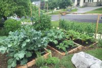 Why You Should Plant A Front Yard Veggie Garden inside measurements 2048 X 1536