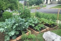 Why You Should Plant A Front Yard Veggie Garden inside size 2048 X 1536