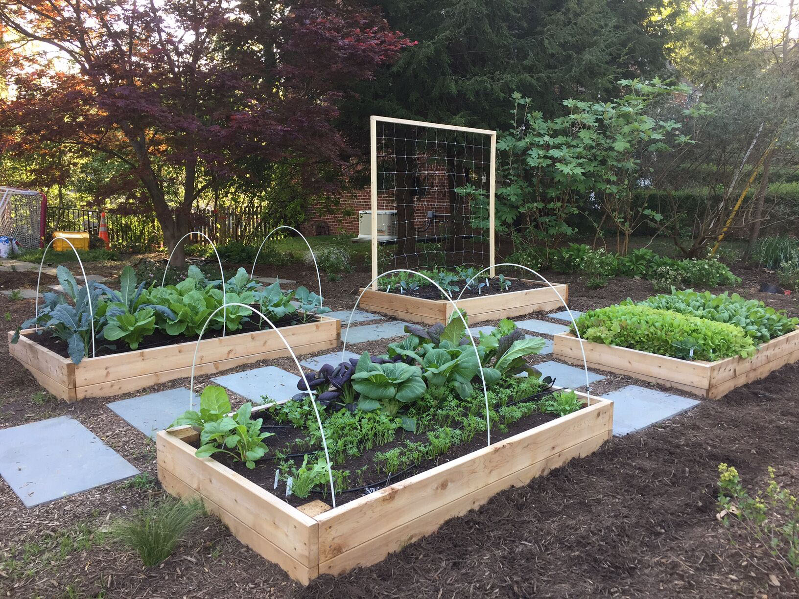 Why You Should Plant A Front Yard Veggie Garden intended for dimensions 1632 X 1224