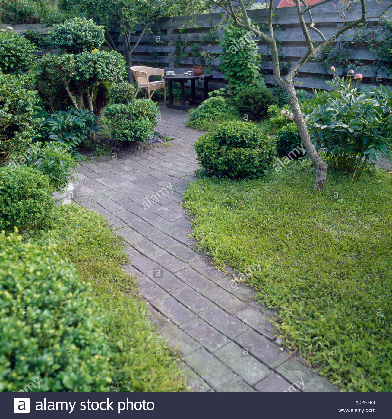 Ground Cover Beside Paved Path Leading To Topiary And Patio pertaining to dimensions 1300 X 1389