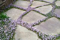 Ground Cover Grows In Between The Stones Back Yard pertaining to size 1177 X 1600