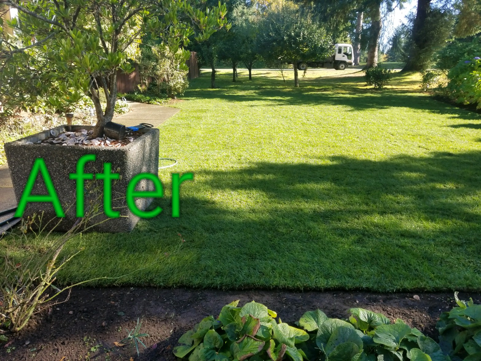 Matias Landscaping Bremerton Wa with regard to sizing 1567 X 1175