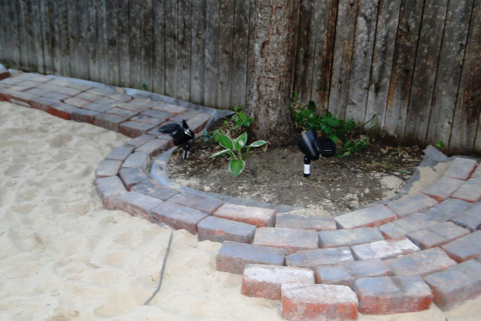 Pavers Around Tree In Front Stone Patio Designs Patio with regard to sizing 1600 X 1067